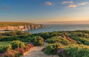 Dentro da “Tasmânia das Ilhas Britânicas”, com praias intocadas, 1.976 horas de sol por ano e vida selvagem excepcional A Ilha de Wight: lembra a Tasmânia com suas praias quase intocadas, litoral acidentado e pastagens vibrantes