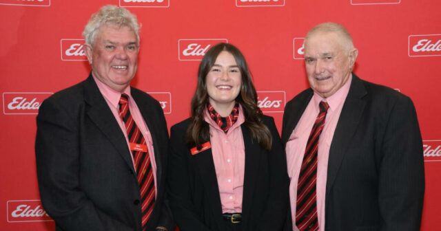 Depois de mais de 50 anos na indústria da lã, Russell já viu de tudo
