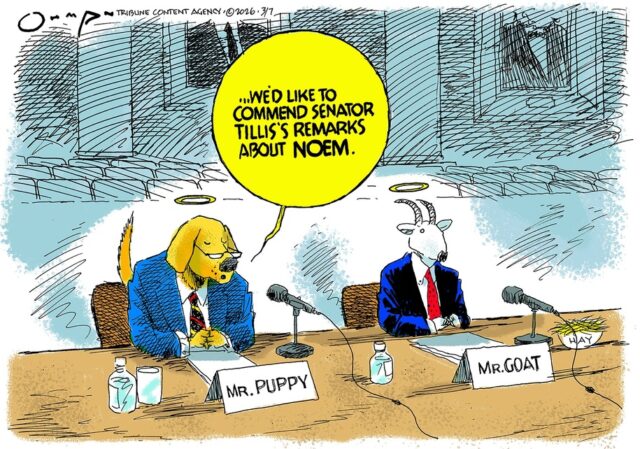 Desenho animado: Verdade de Tillis
