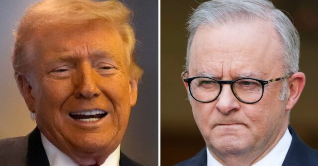 'Deus abençoe a Austrália!' Elogios de Trump após ligação noturna com Albanese
