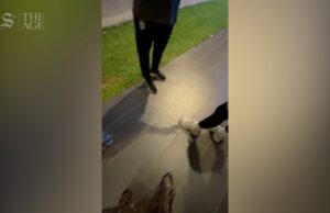 Diáspora iraniana conversando com seleção feminina de futebol na Malásia Diáspora iraniana conversando com seleção feminina de futebol na Malásia