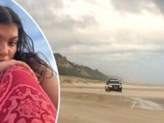 Dingoes são os culpados pela morte de adolescente canadense na praia Dingoes são os culpados pela morte de adolescente canadense na praia