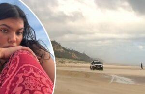 Dingoes são os culpados pela morte de adolescente canadense na praia Dingoes são os culpados pela morte de adolescente canadense na praia