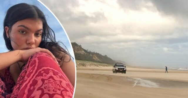 Dingoes são os culpados pela morte de adolescente canadense na praia
