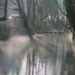 Doha Film Institute revela projetos definidos para o evento Qumra que foi transferido para a Internet devido à guerra no Irã