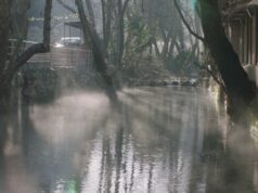 Doha Film Institute revela projetos definidos para o evento Qumra que foi transferido para a Internet devido à guerra no Irã Doha Film Institute revela projetos definidos para o evento Qumra que foi transferido para a Internet devido à guerra no Irã