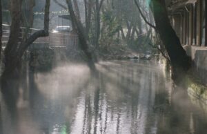 Doha Film Institute revela projetos definidos para o evento Qumra que foi transferido para a Internet devido à guerra no Irã Doha Film Institute revela projetos definidos para o evento Qumra que foi transferido para a Internet devido à guerra no Irã