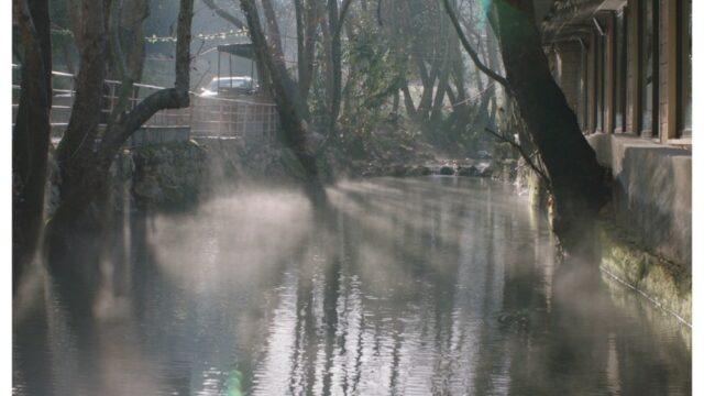 Doha Film Institute revela projetos definidos para o evento Qumra que foi transferido para a Internet devido à guerra no Irã
