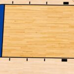 2 vezes campeã da WNBA e AllStar Kara Braxton morta aos 43 anos O que sabemos