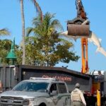 Crane revela o tamanho do tubarão-martelo.