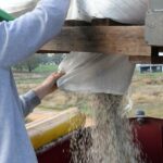 Escassez de nitrogênio: apelos para aliviar as restrições sobre ingredientes explosivos