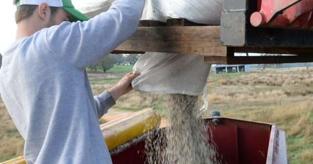 Escassez de nitrogênio: apelos para aliviar as restrições sobre ingredientes explosivos
