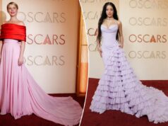 Escolhas profissionais: estilistas famosos selecionam os melhores looks do Oscar de 2026 Escolhas profissionais: estilistas famosos selecionam os melhores looks do Oscar de 2026