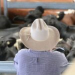 Estagnação da produtividade agrícola: os agricultores podem enfrentar maiores taxas de P&D para consertar isso