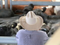 Estagnação da produtividade agrícola: os agricultores podem enfrentar maiores taxas de P&D para consertar isso Estagnação da produtividade agrícola: os agricultores podem enfrentar maiores taxas de P&D para consertar isso