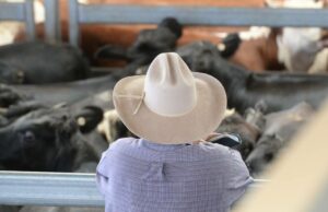 Estagnação da produtividade agrícola: os agricultores podem enfrentar maiores taxas de P&D para consertar isso Estagnação da produtividade agrícola: os agricultores podem enfrentar maiores taxas de P&D para consertar isso