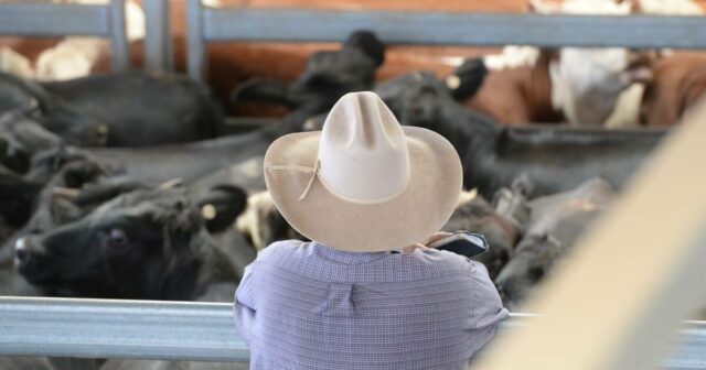 Estagnação da produtividade agrícola: os agricultores podem enfrentar maiores taxas de P&D para consertar isso

