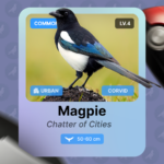 Mascote Android ao lado de uma mochila de caminhada com alguns equipamentos de aventura.