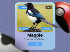 Este aplicativo de observação de pássaros no estilo Pokémon é a única razão pela qual vou sair neste fim de semana Mascote Android ao lado de uma mochila de caminhada com alguns equipamentos de aventura.