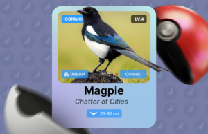 Este aplicativo de observação de pássaros no estilo Pokémon é a única razão pela qual vou sair neste fim de semana Mascote Android ao lado de uma mochila de caminhada com alguns equipamentos de aventura.