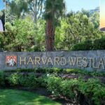 Um homem sem camisa, cabelos curtos e escuros, vestindo cueca de banho azul claro, sorri com os braços cruzados sobre o peito, tendo uma praia e um prédio ao fundo.