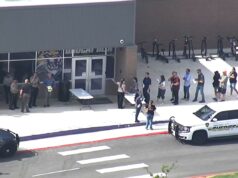 Estudante do Texas, 15 anos, pode ter lutado com ‘acadêmicos’ quando apontou uma arma para um professor: polícia Um policial parado do lado de fora da Hill Country College Preparatory High School.