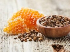 Estudo revela potencial da própolis para pacientes com distúrbios metabólicos Estudo revela potencial da própolis para pacientes com distúrbios metabólicos