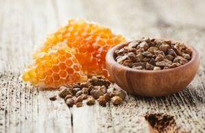 Estudo revela potencial da própolis para pacientes com distúrbios metabólicos Estudo revela potencial da própolis para pacientes com distúrbios metabólicos