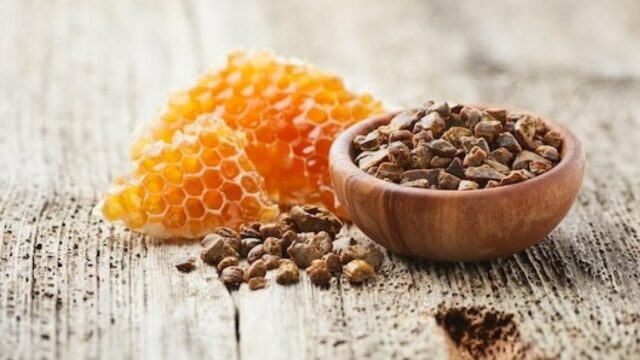 Estudo revela potencial da própolis para pacientes com distúrbios metabólicos
