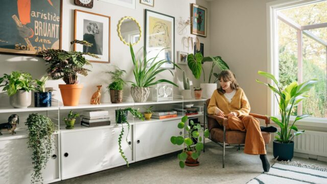 telas do aplicativo Planta