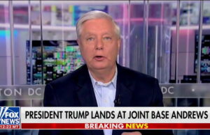 Exposta a extravagância de três dias da Disney do senador sedento de sangue Lindsey Graham Yahoo news home