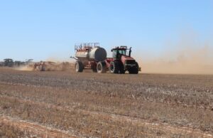 Flexibilidade necessária para o programa de produtores de grãos: ‘Não sabemos nesta fase’ Flexibilidade necessária para o programa de produtores de grãos: 'Não sabemos nesta fase'