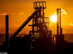 Fornos siderúrgicos britânicos ficam presos na China à medida que os custos de envio disparam Esperança de um futuro brilhante: a siderúrgica de Port Talbot espera um forno elétrico a arco