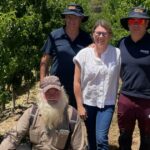 Fruta plana repleta de sabor e com todos os atributos adequados para o mercado