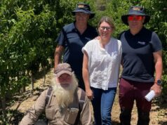 Fruta plana repleta de sabor e com todos os atributos adequados para o mercado Fruta plana repleta de sabor e com todos os atributos adequados para o mercado