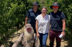 Fruta plana repleta de sabor e com todos os atributos adequados para o mercado Fruta plana repleta de sabor e com todos os atributos adequados para o mercado