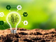 Gaya Hidup Ramah Lingkungan Makin Dilirik Masyarakat Global, Banyak Orang Mulai Beralih Gaya Hidup Ramah Lingkungan Makin Dilirik Masyarakat Global, Banyak Orang Mulai Beralih