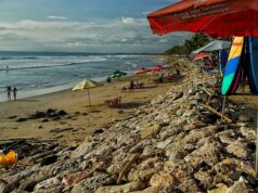 Gerações de australianos migraram para esta praia. Hoje está desolado A famosa Praia de Kuta foi escavada pela erosão. Uma pista de corrida que costumava subir essas rochas foi destruída.
