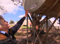 Golpe duplo para comunidade atingida por incêndios florestais, enquanto ladrões atacam agricultores em busca de combustível Dois tanques de combustível na propriedade Ruffy de Sarah Thomson foram desviados.