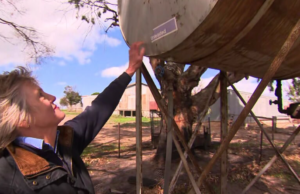 Golpe duplo para comunidade atingida por incêndios florestais, enquanto ladrões atacam agricultores em busca de combustível Dois tanques de combustível na propriedade Ruffy de Sarah Thomson foram desviados.