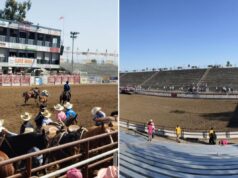 Golpe sinistro arrasa rodeio popular: ‘Você tem que ser esperto’ Ilustração de um