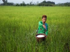 Guerra no Irão provoca escassez global de fertilizantes e ameaça preços dos alimentos A Índia está a tentar reduzir a sua dependência de fertilizantes importados.