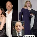 Harvey Weinstein usa a mesma desculpa cansada de culpar as vítimas e afirma corajosamente que os acusadores 'queriam fazer parte do clube'