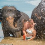 Harald Undrum, 53, e sua esposa Judith Mazariegos, 26, morreram tragicamente no acidente de avião