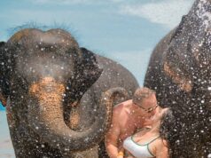 Herdeiro editorial britânico, 53, e sua esposa grávida morrem em acidente de avião na Guatemala Harald Undrum, 53, e sua esposa Judith Mazariegos, 26, morreram tragicamente no acidente de avião