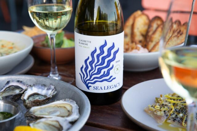 A concha de um abalone branco no UC Davis Bodega Marine Lab em Bodega Bay. (John Burgess/The Press Democrata)