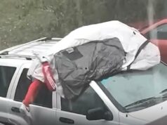 Homem da Flórida usa seu corpo como escudo contra tempestade de granizo em vídeo selvagem: ‘Sim, doeu’ Homem da Flórida usa seu corpo como escudo contra tempestade de granizo em vídeo selvagem: ‘Sim, doeu’