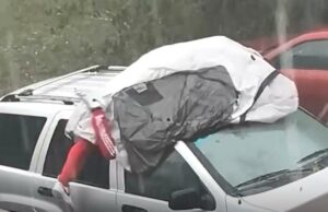 Homem da Flórida usa seu corpo como escudo contra tempestade de granizo em vídeo selvagem: ‘Sim, doeu’ Homem da Flórida usa seu corpo como escudo contra tempestade de granizo em vídeo selvagem: ‘Sim, doeu’