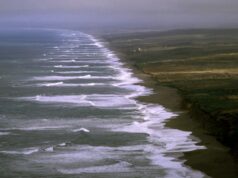 Homem de East Bay morre em emergência hídrica de Marin Homem de East Bay morre em emergência hídrica de Marin