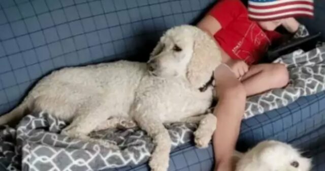 Homem de Minnesota matou vizinho, sequestrou namorada grávida e seus quatro filhos em uma violência aterrorizante